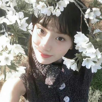 情天血泪